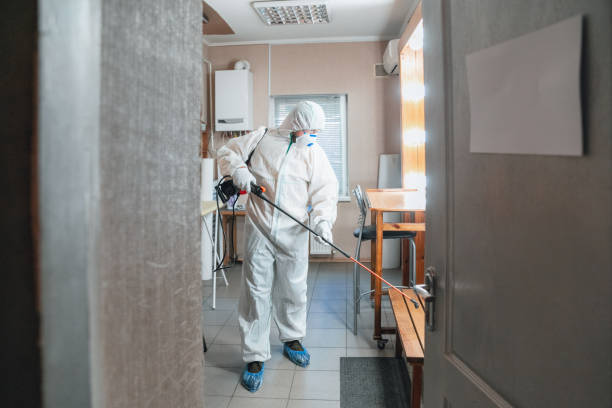 Professional Mold Removal in South Milwaukee, WI